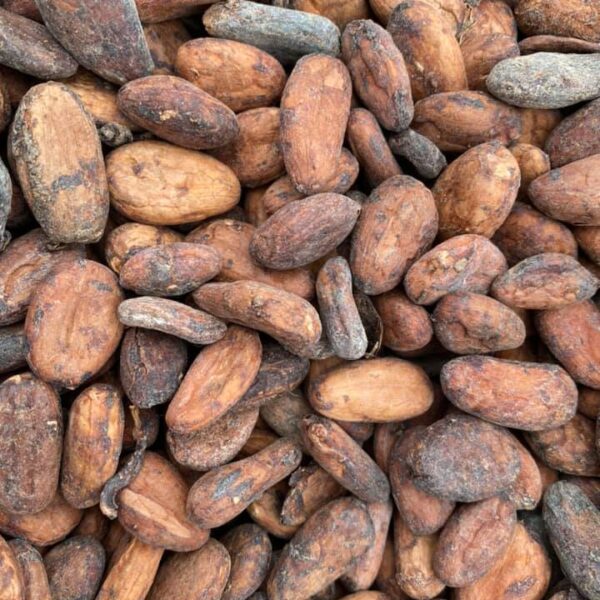 Cocoa Farmers Alliance Association Of Africa