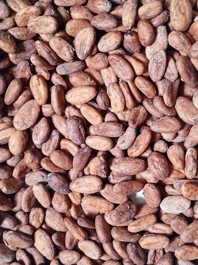 Cacao