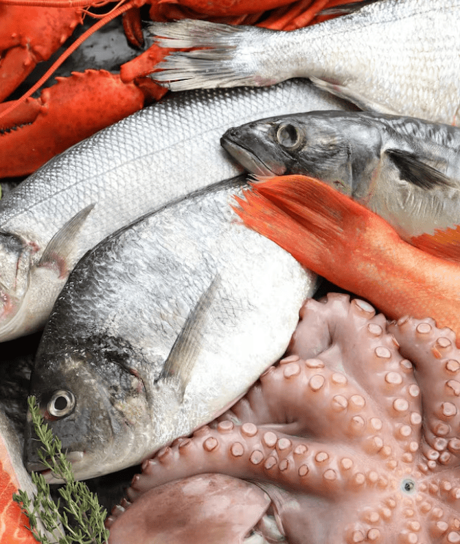 Pescado