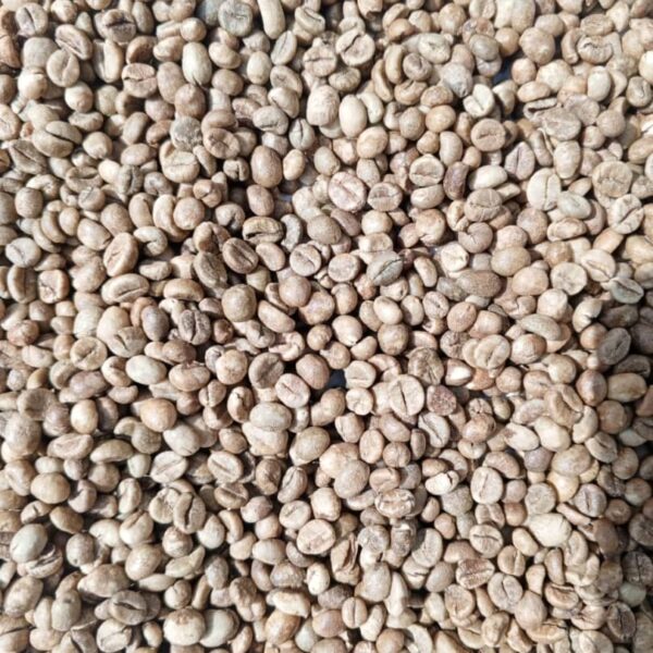 Brewfinity Uganda Limited