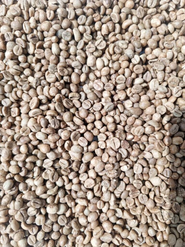 Brewfinity Uganda Limited