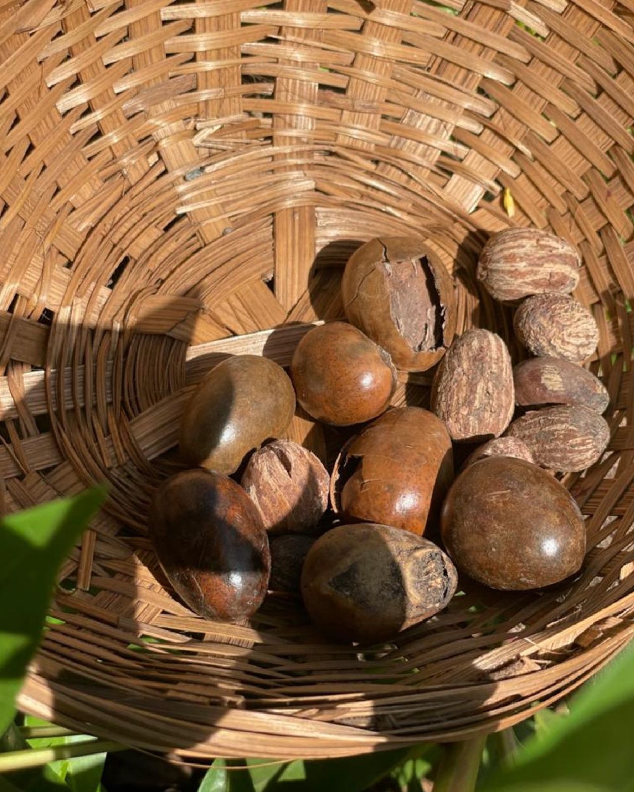 Agro Business Trade Import Export Sarl - Imagen 3