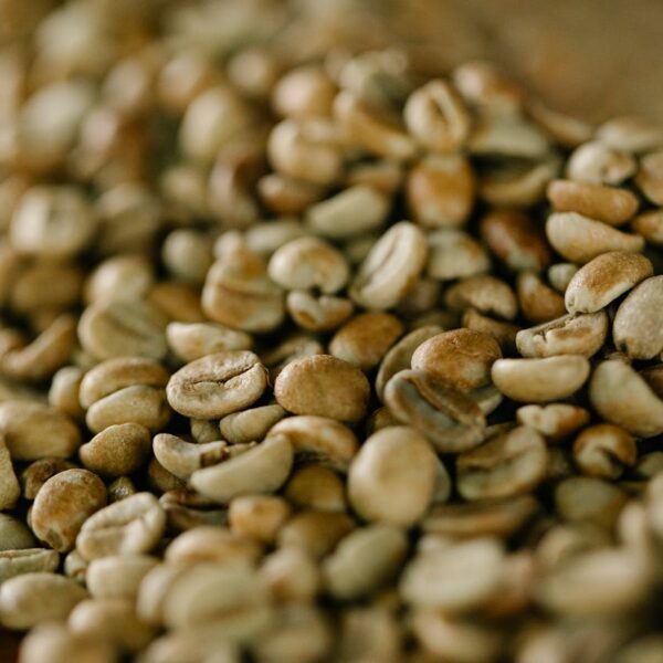 Guji Coffee Export Plc