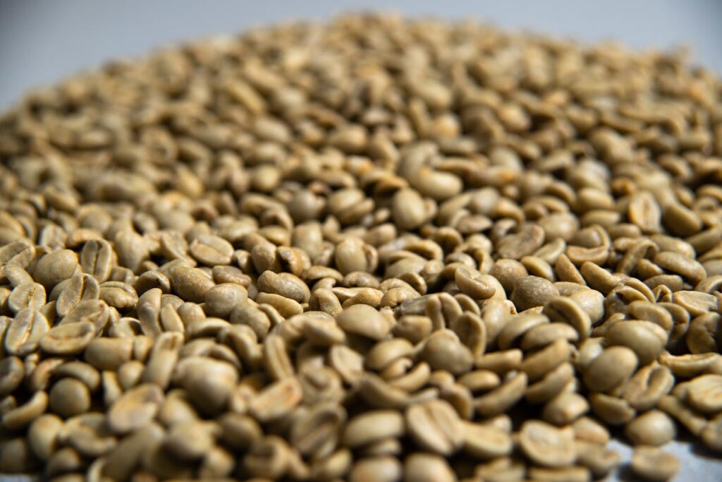 Haider Abamecha Coffee Export