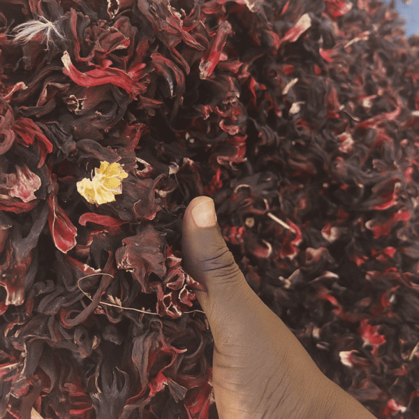 Roselle Herbs